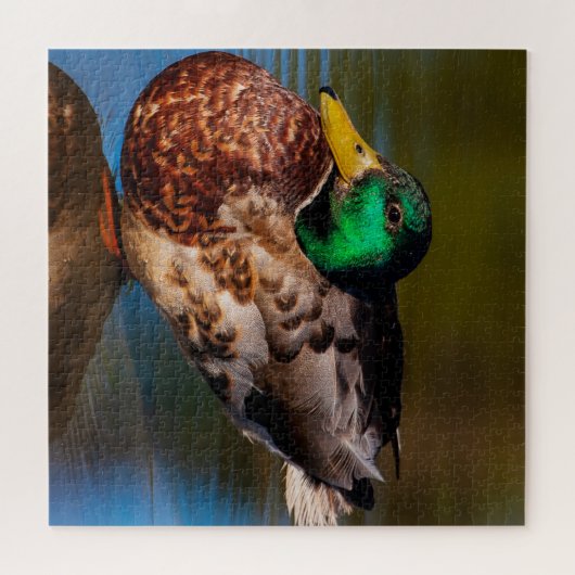 Puzzle Portrait de Mallard (Horizontal)