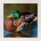 Puzzle Portrait de Mallard (Vertical)
