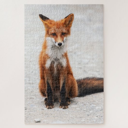 Puzzle Portrait de mignon renard rouge sauvage avec de be (Vertical)