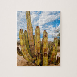 Puzzle Portrait de Old Man Cactus, Mexique