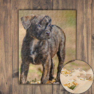 Puzzle Portrait de profil de chiot