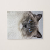 Puzzle Portrait de Ragdoll (Horizontal)