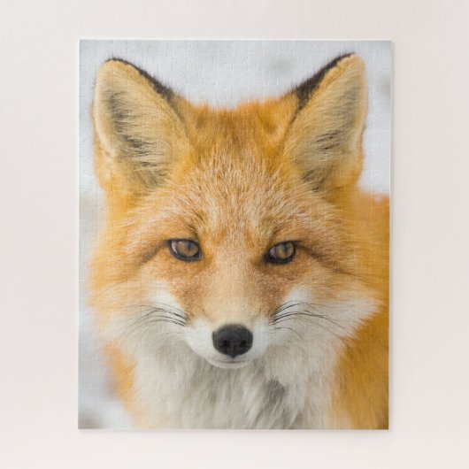 Puzzle Portrait de renard roux (Vertical)