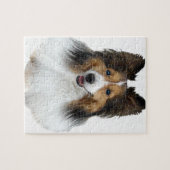 Puzzle Portrait de Sheltie (Horizontal)
