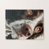 Puzzle Portrait de springer spaniel marron (Horizontal)
