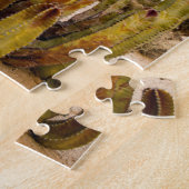 Puzzle Portrait de vieux cactus, Mexique (Côté)