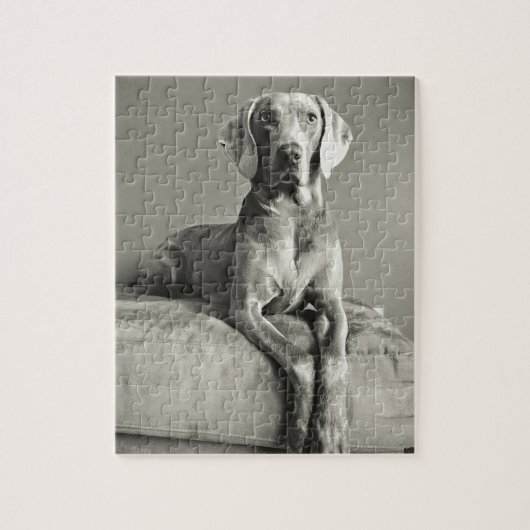 Puzzle Portrait de Weimaraner (Vertical)