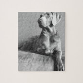 Puzzle Portrait de Weimaraner (Vertical)