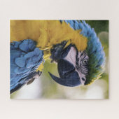 Puzzle Portrait du profil de la perroquet macaw (Horizontal)