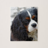 Cavalier King Charles Spaniel - Ethan Legpuzzel | Zazzle.be, image size:166x166