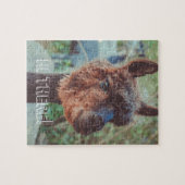Puzzle Portrait d'un alpaga brun (Horizontal)