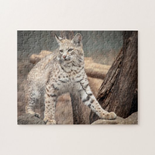 Puzzle Portrait d'un Bobcat (Horizontal)