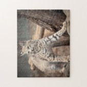 Puzzle Portrait d'un Bobcat (Vertical)