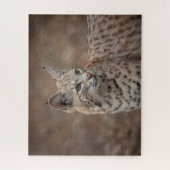 Puzzle Portrait d'un Bobcat (Vertical)