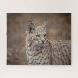 Puzzle Portrait d'un Bobcat