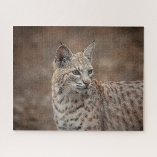 Puzzle Portrait d'un Bobcat (Horizontal)