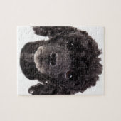 Puzzle Portrait d'un caniche noir (Horizontal)