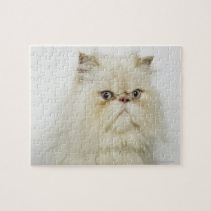 Puzzle Portrait d'un chat perse