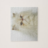 Puzzle Portrait d'un chat perse (Vertical)