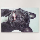 Puzzle Portrait d'un chien de taureau français heureux (Horizontal)