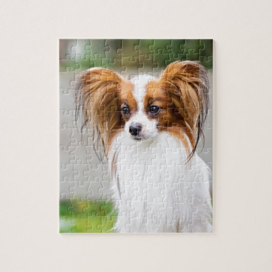 Puzzle Portrait d'un chien papillon (Vertical)