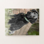 Puzzle Portrait d'un chiot du labrador (Horizontal)