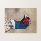 Puzzle Portrait d'un faisan (Horizontal)