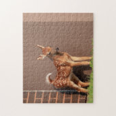 Puzzle Portrait d'un faon (cerf de Virginie) (Vertical)