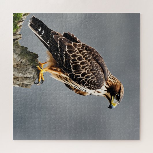 Puzzle Portrait d'un Hawk (Horizontal)