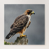Puzzle Portrait d'un Hawk (Vertical)