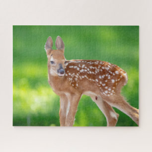 Puzzle Portrait d'un nouveau-né (cerf de Virginie)