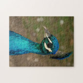 Puzzle Portrait d'un paon bleu (Horizontal)