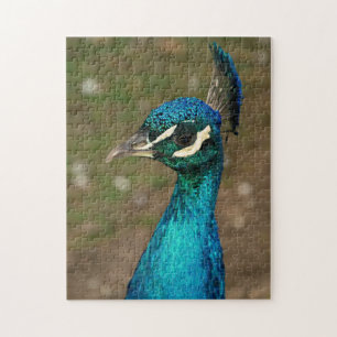 Puzzle Portrait d'un paon bleu