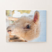 Puzzle Portrait d'un petit agneau (Horizontal)