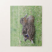 Puzzle Portrait d'une femelle mallard (Vertical)