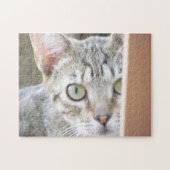 Puzzle - Portrait Kitten (Horizontal)