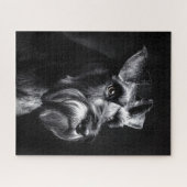 Puzzle Portrait monochrome de Schnauzer (Horizontal)