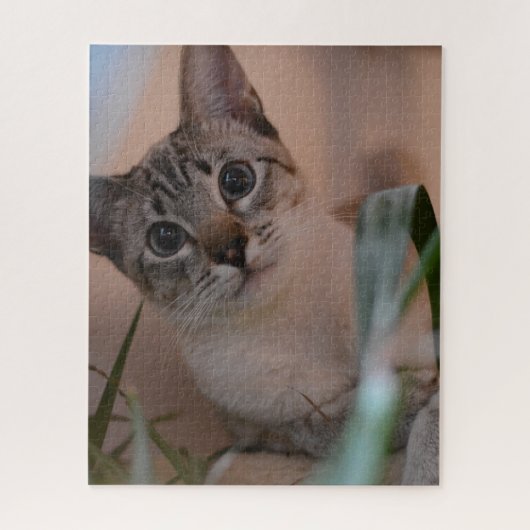 Puzzle Portrait photo de chat (Vertical)