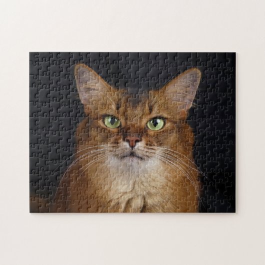 Puzzle Portrait photo de chat somalien (Horizontal)