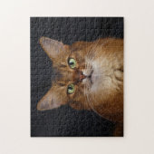 Puzzle Portrait photo de chat somalien (Vertical)