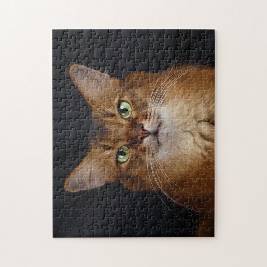 Puzzle Portrait photo de chat somalien (Vertical)