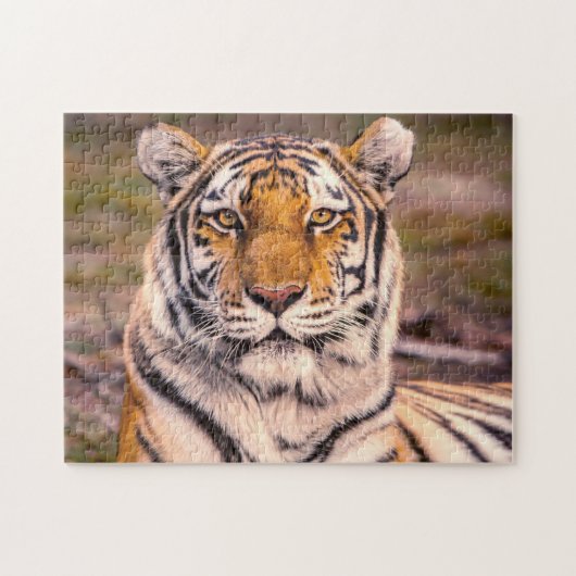 Puzzle Portrait photo Tiger (Horizontal)