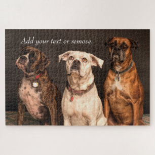 Puzzle Portrait photographique de 3 mignons chiens boxeur