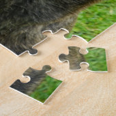 Puzzle Portrait souriant de berger néerlandais (Côté)