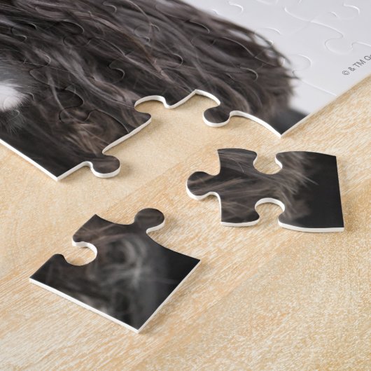 Puzzle Portrait studio de cocker spaniel (Côté)