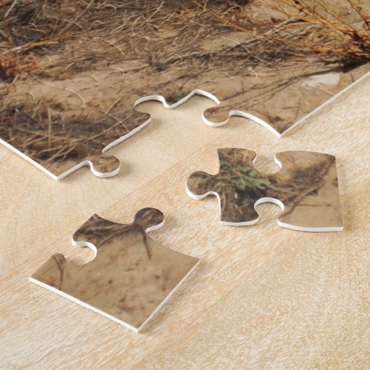 Puzzle Portugal réel - Chambre avec vue - Lagos (Côté)