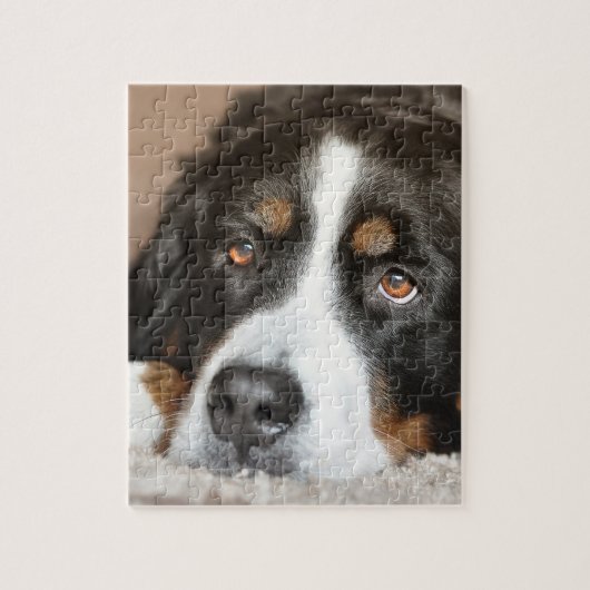 Puzzle pose de chien de montagne bernese (Vertical)