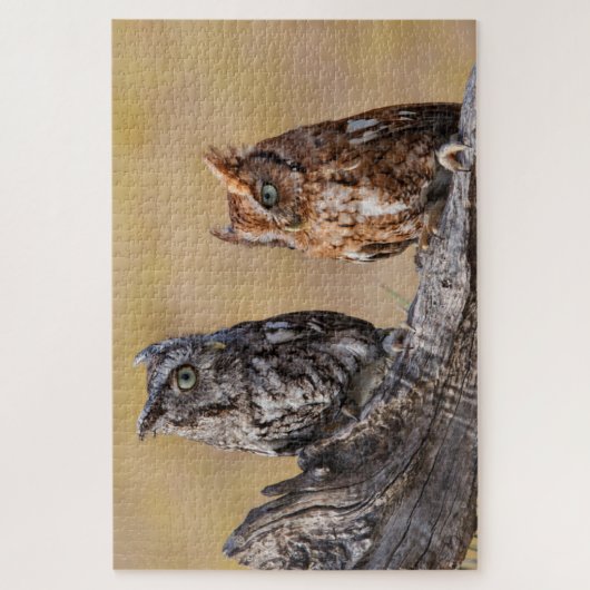 Puzzle Pose de l'arbre à vis de l'est (Vertical)