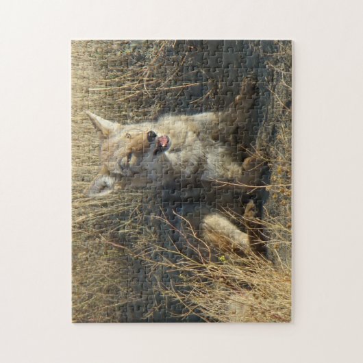 Puzzle Pose du coyote R18 (Vertical)