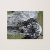 Puzzle Poseur anglais noir et blanc adorable (Horizontal)